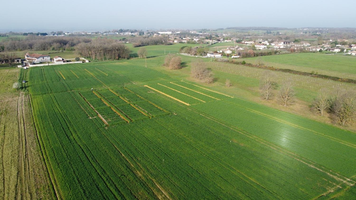 22-03-2024 vue générale 1 DJI_0253_1500x844