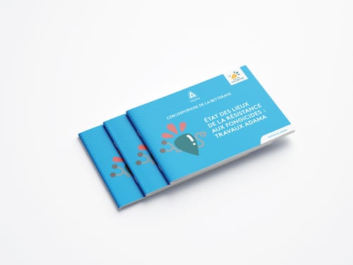 LB-Expertise-Cercosporiose_EtatdesLieux-_Resistance_Brochure_Mockup