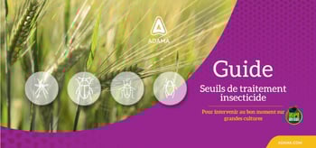 MockUp_Guide_Seuils_Traitements2025