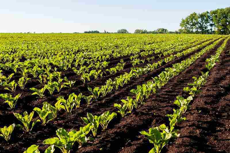 image-inscription-webinaire